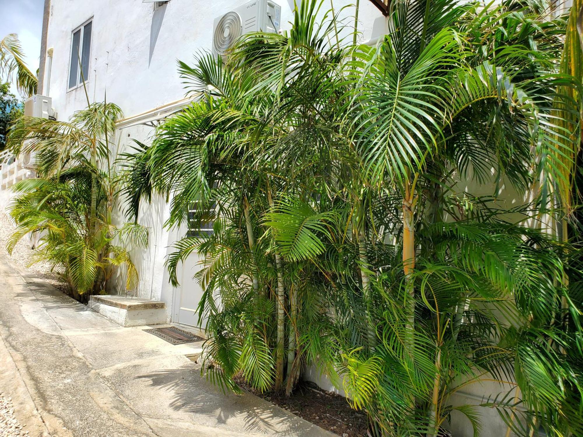 Grand Sun Valley Residences Willemstad Zewnętrze zdjęcie
